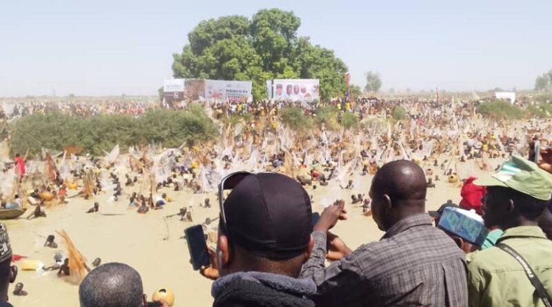 Argungu Festival: Thousands of fishermen plunge into river before official time