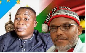 IPOB responds to comments comparing Nnamdi Kanu and Sunday Igboho