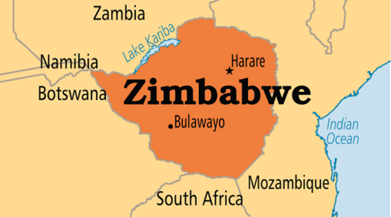 Zimbabwe bans exports of all raw minerals