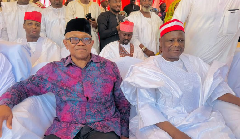 Photos: Obi, Makinde, Dickson meet Kwankwaso in Kano