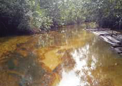 Ogoni Cleanup: We’re shocked court said HYPREP is unknown to law ― Ogoni Youths