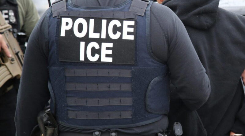 US deploys immigration agents to airports amid shutdown chaos