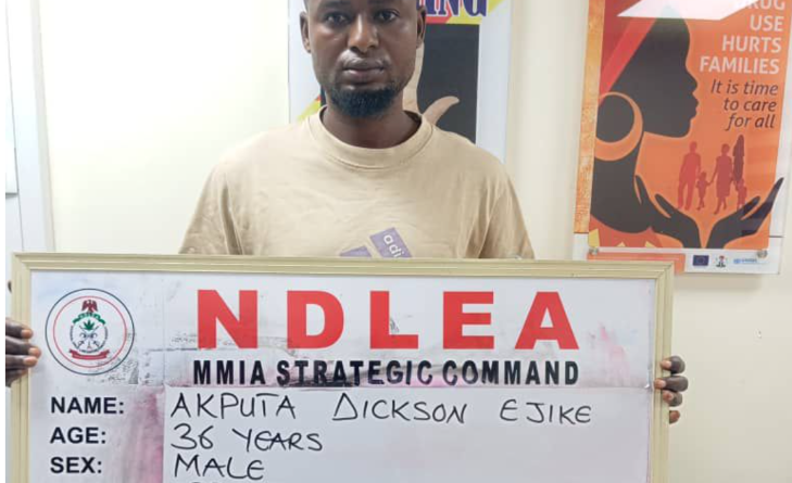 NDLEA foils shipment of cocaine consignment hidden in stock-fish heads