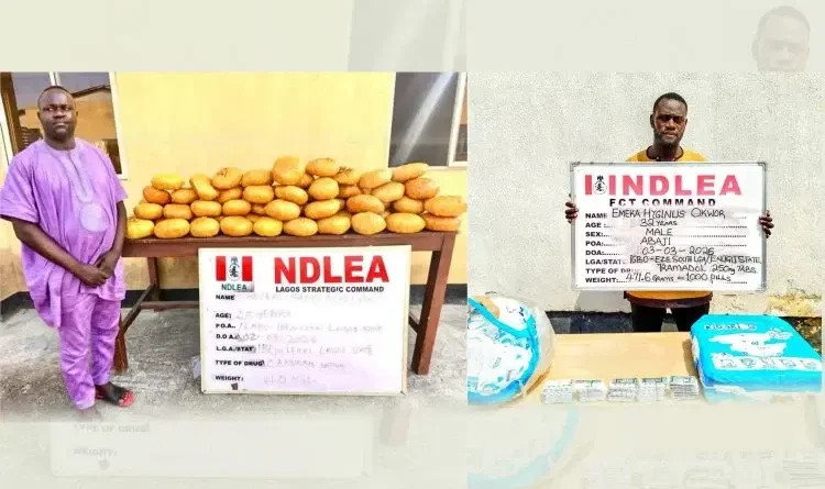 NDLEA arrests ex-Lagos councilor, recovers illicit drugs in baby diapers