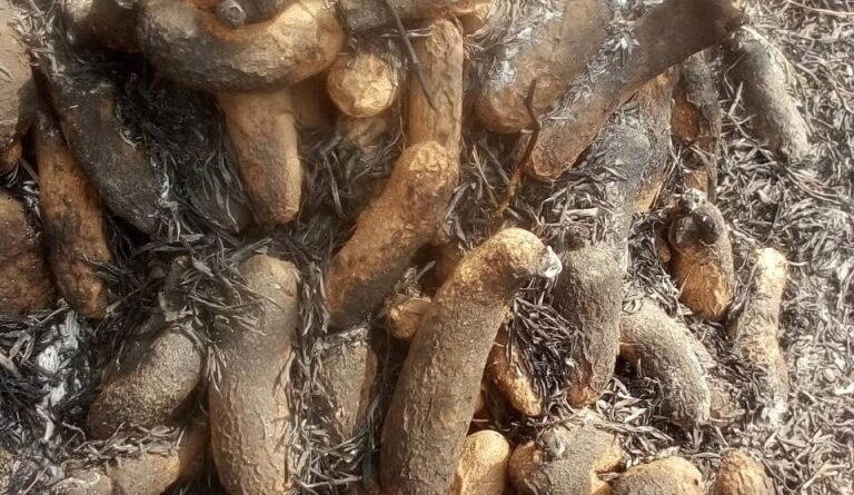 Anger as hunters set yam barns ablaze in Cross River
