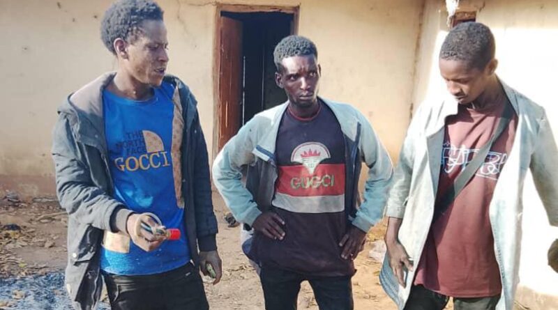 Troops intensify pre-farming offensive, dismantle criminal networks in Benue