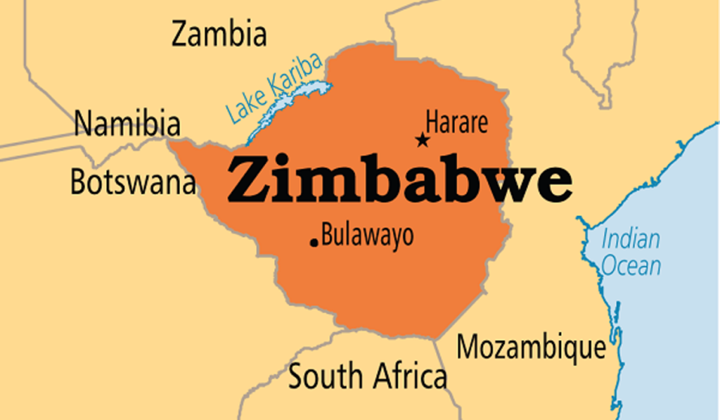 Opposition figure arrested in Zimbabwe