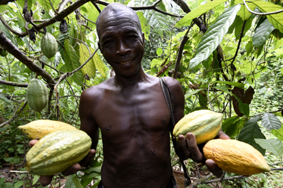 Yobe farmers charge govt. on a ready market