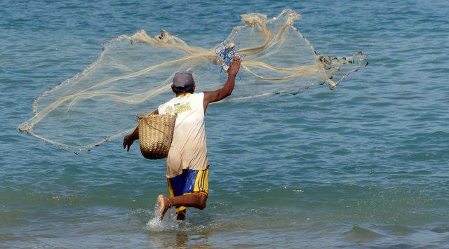 FG to register, categorise Nigerian fish farmers