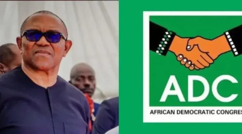 2027: ADC is gone if Obi loses party’s presidential ticket – Fayose