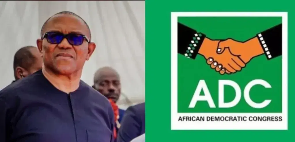 2027: ADC is gone if Obi loses party’s presidential ticket – Fayose