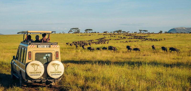 serengeti-national-park