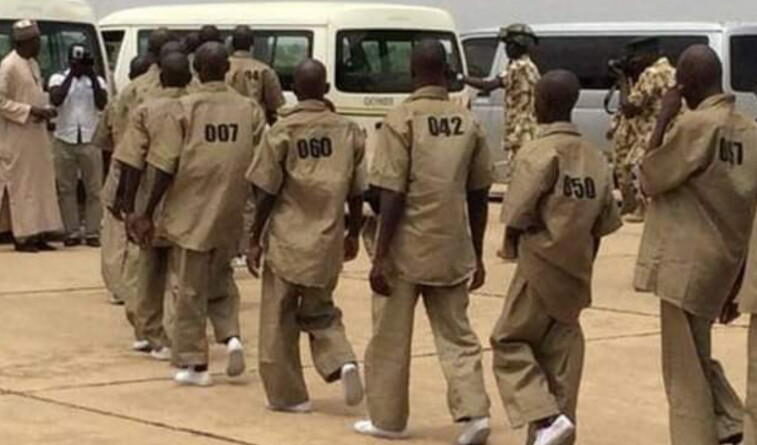 Reintegration of Repentant Terrorists: Nigerians Furious