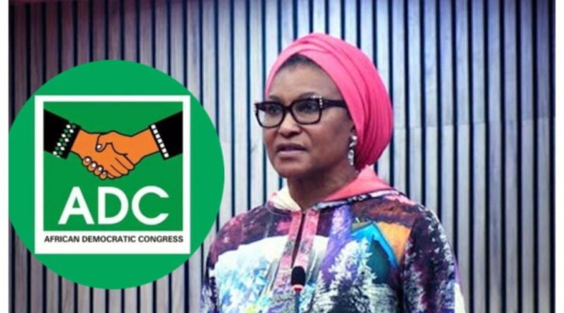 Nigeria facing ‘clear meltdown’ – Ireti Kingibe