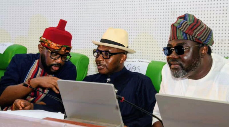NASS Petroleum committees dismiss petitions, back pipeline surveillance contract