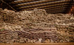 Abakaliki rice mill, where women, children defy health hazards in search of daily bread
