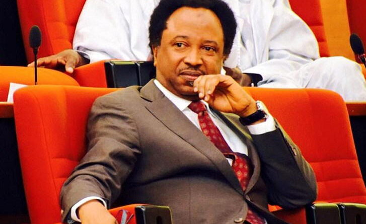 Support for Obi tribalistic; Tinubu will win in 2027 —  Shehu Sani
