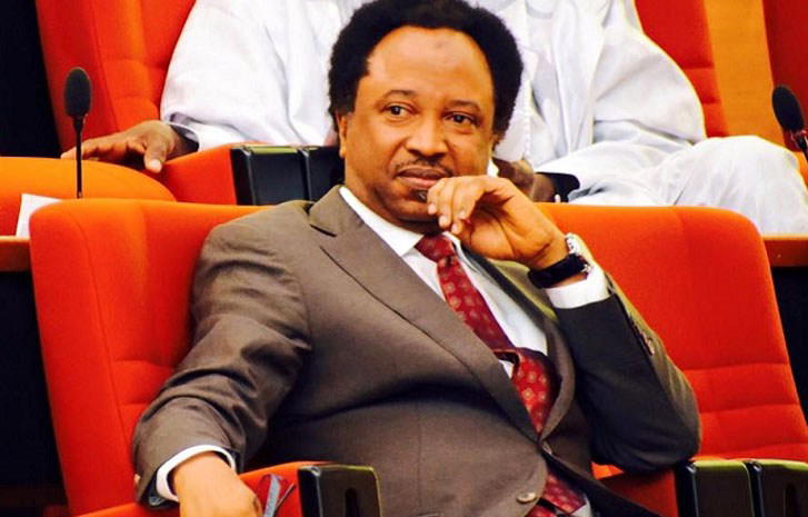 Support for Obi tribalistic; Tinubu will win in 2027 —  Shehu Sani