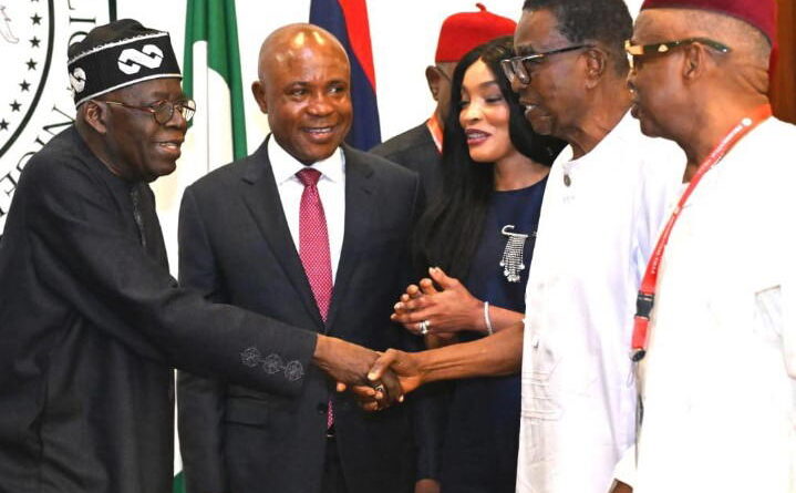 Democracy will survive, though opposition undermine its values - Tinubu