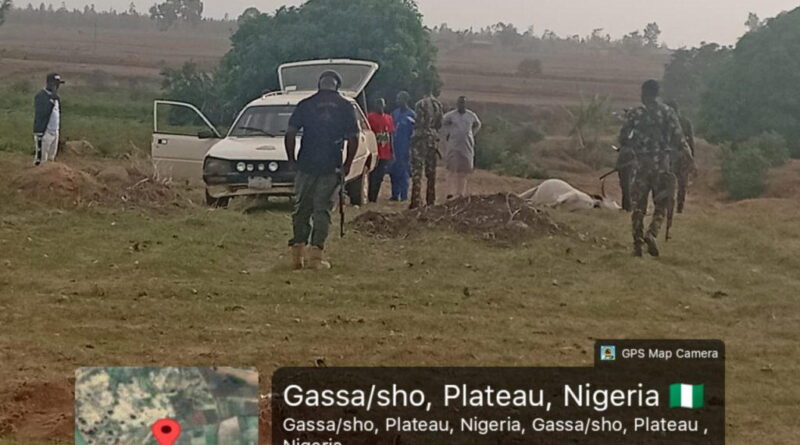 Nine cows reportedly poisoned after eating oranges in Plateau