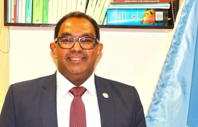 United Nations’ FAO speaks at Vanguard Economic Discourse on agric sector