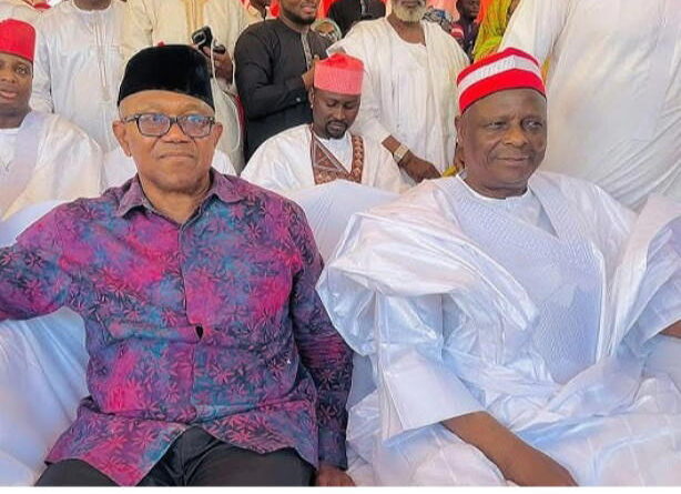 NDC woos Obi, Kwankwaso with presidential ticket ahead of primary deadline