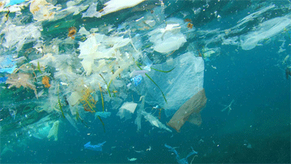 Tackling pollution of our rivers