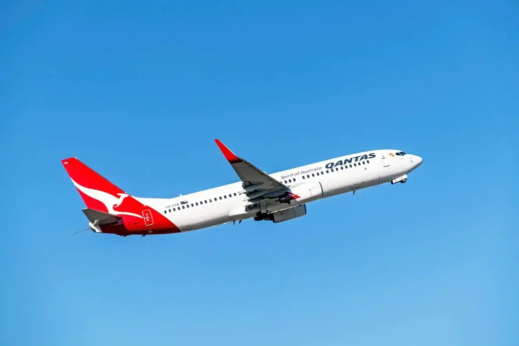 Woman dies mid-air on flight from New York despite rescue efforts