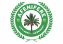 Afenifere, Igbo presidency