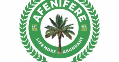 Afenifere, Igbo presidency