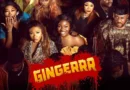 ‘Gingerrr lacks coordination’ – Tweeps explain why film lost despite nine AMVCA nominations