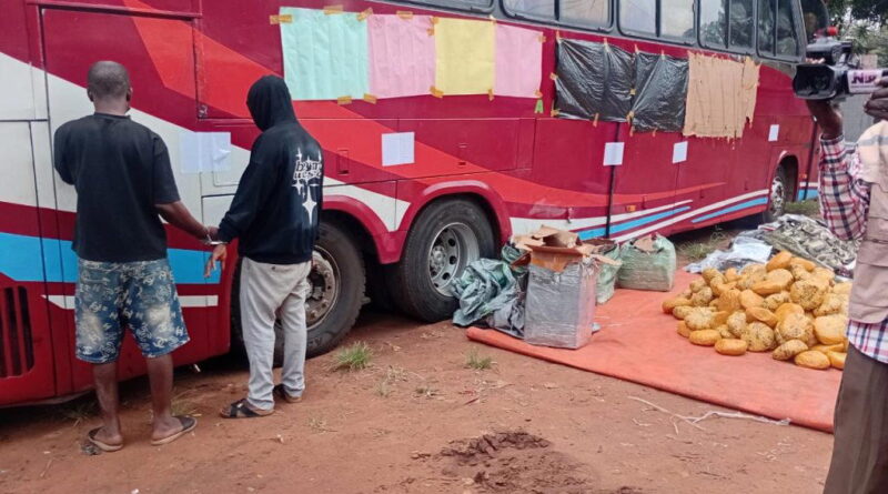 Customs intercepts bus loaded with military camouflage, cannabis in Ogun