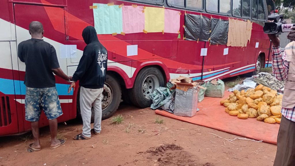 Customs intercepts bus loaded with military camouflage, cannabis in Ogun