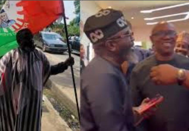 Peter Obi not a candidate, going nowhere in 2027 — ex-Obidient Kitiya
