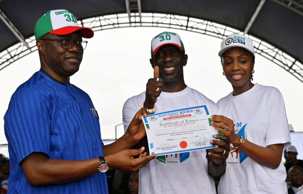 State assemblies should facilitate state police creation, not IGP — Makinde