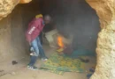NDLEA uncovers underground drug caves, hideouts in Kano 