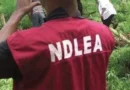 Stray bullet hits boy during NDLEA operations in Bakassi