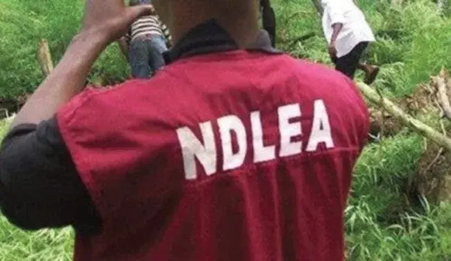 Stray bullet hits boy during NDLEA operations in Bakassi
