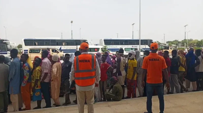 NEMA repatriates 497 Nigerians from Niger Republic