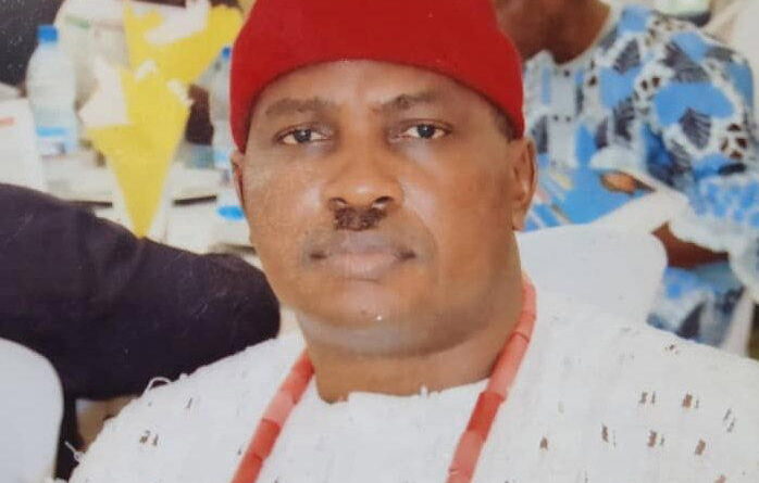 Completion of Anioma State tied to Nwoko’s 2027 return — Oganah