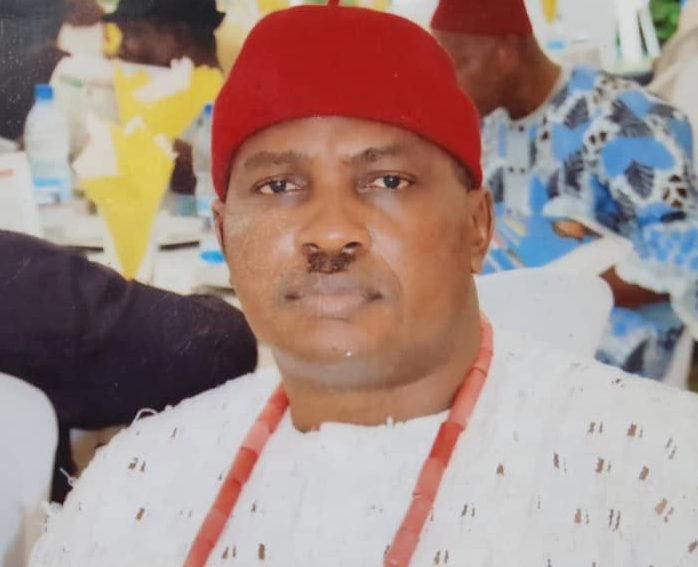 Completion of Anioma State tied to Nwoko’s 2027 return — Oganah