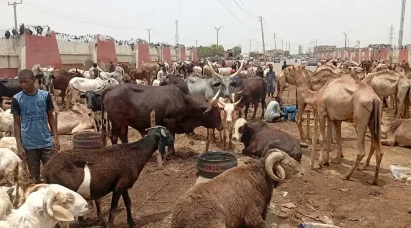 10 popular foods Nigerians enjoy during Sallah