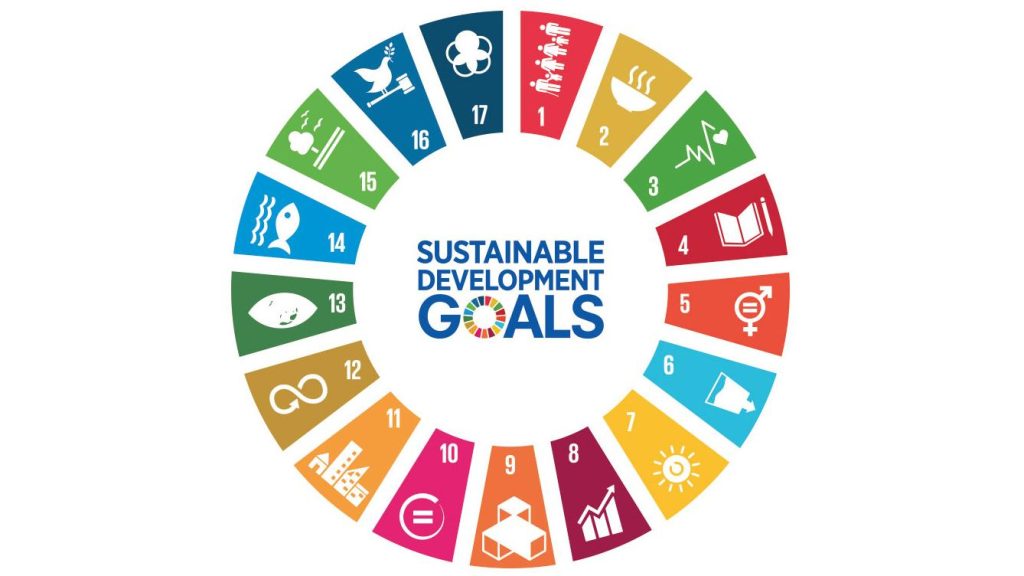 The 2030 SDGs: Beyond the rhetoric of hope 