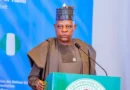 ‘Nigeria now working’, Shettima insists