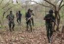Troops rescue 32 kidnap victims, neutralise two terrorists in Katsina