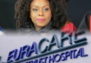 Chimamanda’s son: Inquest stalled as Lagos AG denies interference
