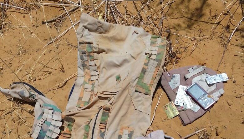 Troops kill four terrorists, arrest suspects in Borno