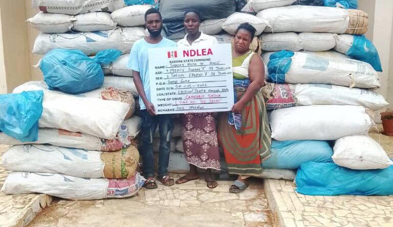 NDLEA foils shipment of high-potency drugs hidden in water purifiers