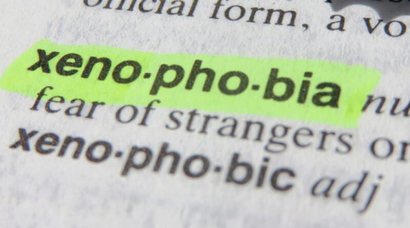 Expert calls for urgent action on Xenophobia in South Africa