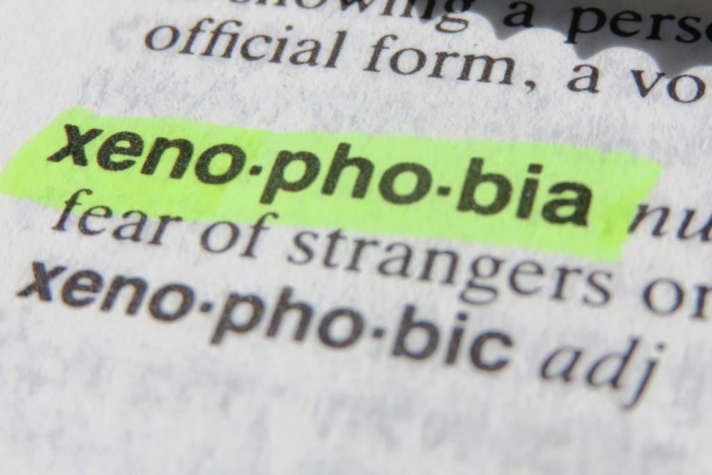 Expert calls for urgent action on Xenophobia in South Africa
